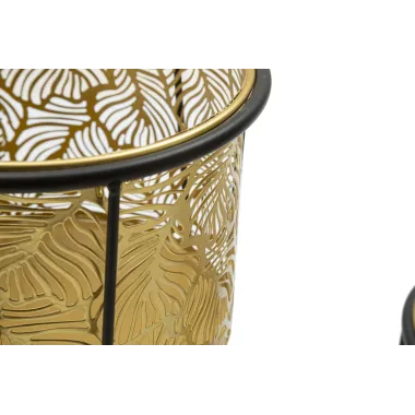 P/VASI LEAVY Para cm 21x40-19x22